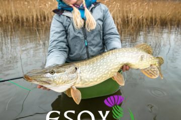 ESOX article - Marina Gibson - Edition 80